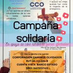 Campaña solidaria incendios V región