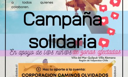 Campaña solidaria incendios V región