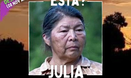 ¿DONDE ESTA JULIA CHUÑIL?